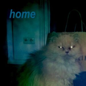 TB - Home [PERMVAC2661]