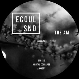 The AM - Stress [ECOUL040]