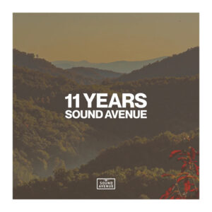 VA - 11 Years Sound Avenue [SA025LP]