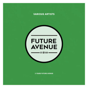 VA - 2 Years Future Avenue [FA018LP]