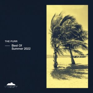 VA - Best Of Summer 2022 [PURR333]