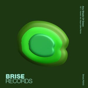 Any Shade Of Green - 757 / Humid [BRISELP0043]