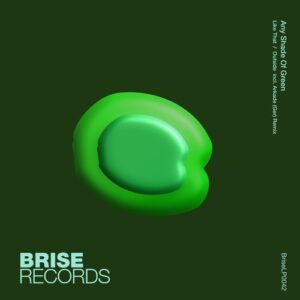 Any Shade Of Green - Like That / Outside [BRISELP0042]
