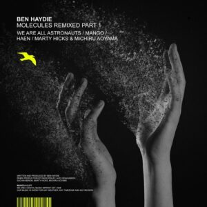 Ben Haydie - Molecules Remixed, Pt. 1 [ALLEY194A]