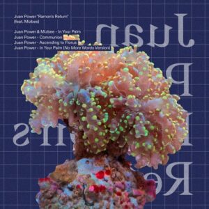 Juan Power, Man Power, Juan Maclean, Mizbee - Ramon's Return [MMM30]