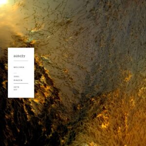 Soel, Rinzen - Meliora - EP [ODT037]