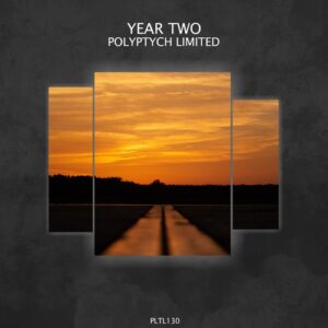 VA - Polyptych Limited: Year Two [PLTL130]