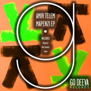Amir Telem - Mapenzi EP [GDV2213]