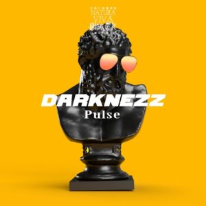 Darknezz - Pulse [NATBLACK389]