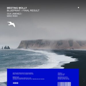 Meeting Molly - Blueprint / Final Result [ALLEY198]