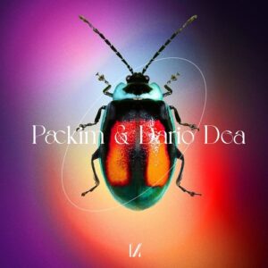 Packim, Dario Dea - Your Mind [MULTINOTES45]