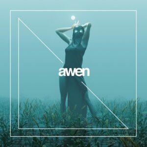 Palinodia - Spinning Voices [AWEN171]