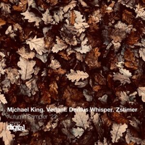 VA - Autumn Sampler '22 [357SD]