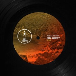 mrT & SimoV - Say What [IBT046]