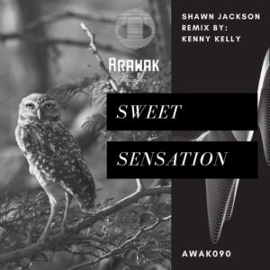Shawn Jackson - Sweet Sensation [AWAK090]