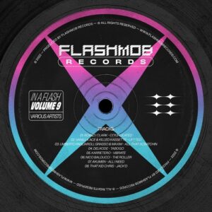 VA - In A Flash, Vol. 9 [FMR212]