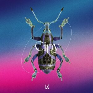 Cipy - Izzy Maya [MULTINOTES47]