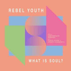 REBEL YOUTH - What Is Soul (30 Yrs Anniversary Remixes) [SYST01346]