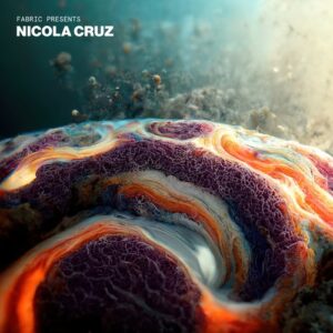 VA - fabric presents Nicola Cruz [FABRIC214D]