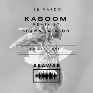 Be-Vardo - Kaboom [AWAK102]