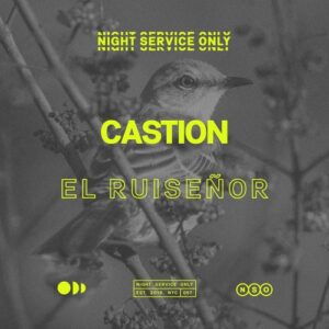 Castion - El Ruiseñor (Extended Mix) [NSO057]