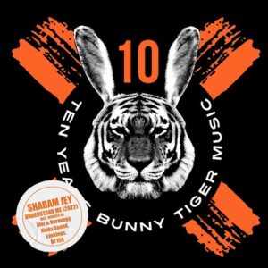 Sharam Jey - Understand Me 2022 [BT159]
