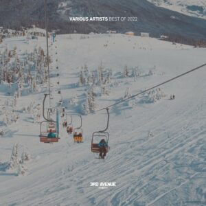 VA - Best of 2022 [3AV066LP]
