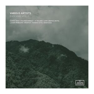VA - Evolving, Vol. 1 [SA027LP]