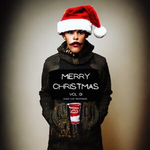 VA - Merry Christmas Vol. 01 [SLR04000001]