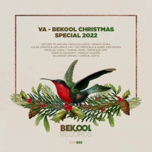 VA - VA - Bekool Christmas Special 2022 [BKR033]