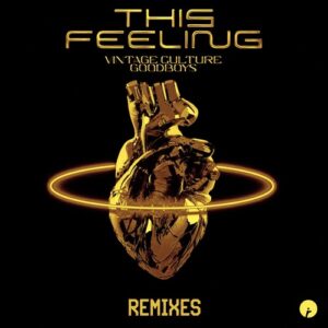 Vintage Culture, Goodboys - This Feeling - Remixes [IR0196B]