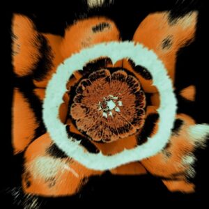 Andre Guarda - Dejavu [PDR039]