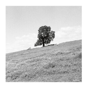 Blank Gloss - Soda Lake [KOMPAKT458D1]