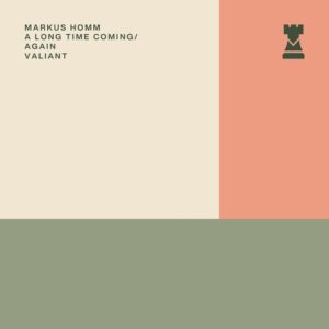 Markus Homm - A Long Time Coming / Again [VALR046I]