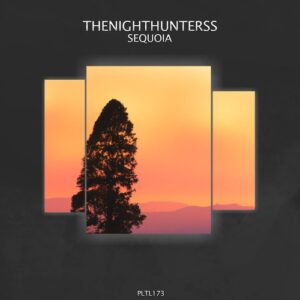 Matthew Vertino, TheNightHunters - Sequoia [PLTL173]