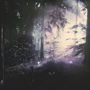 Nils Hoffmann - Far Behind (TIBASKO Remix) [ANJDEE720RBD]