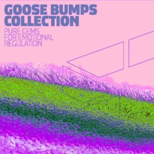 VA - Goose Bumps Collection, Vol. 9 [SUPER475]