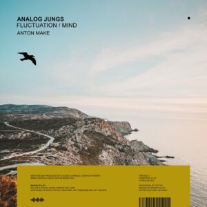Analog Jungs - Fluctuation / Mind [ALLEY210]