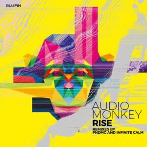 Audio Monkey - Rise (The Remixes) [BF363]