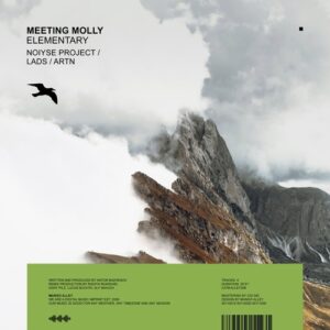 Meeting Molly - Elementary [ALLEY208]
