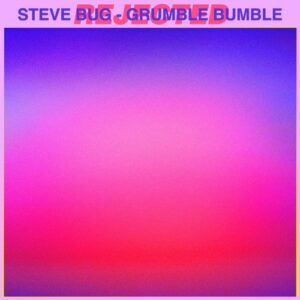 Steve Bug - Grumble Bumble [REJ103]