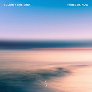 Sultan + Shepard - RnR [TNHLP011S5E]