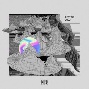 VA - Mind Connector Best of 2022 [061]