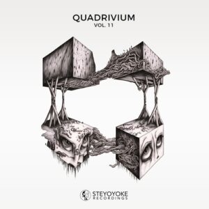 VA - Quadrivium, Vol. 11 [SYYK184]