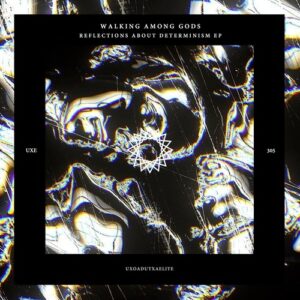 Walking Among Gods - Reflections About Determinism [UXE305]
