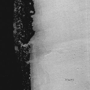 Daryn Steytler - Pulasting [TRM250]