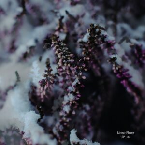 Linear Phase - SP-16 [EDITSELECT155D]