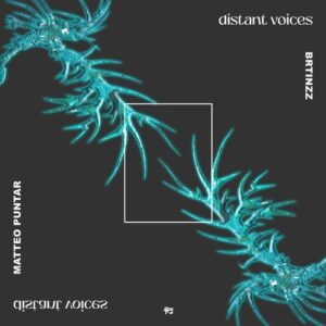 Matteo Puntar, Brtinzz - Distant Voices [PHOBIQ0305D]
