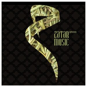 Phonique - Feel What You Want (Alar Remix) [ZATAR007A]