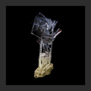 Presia - First Time [MCSL064]